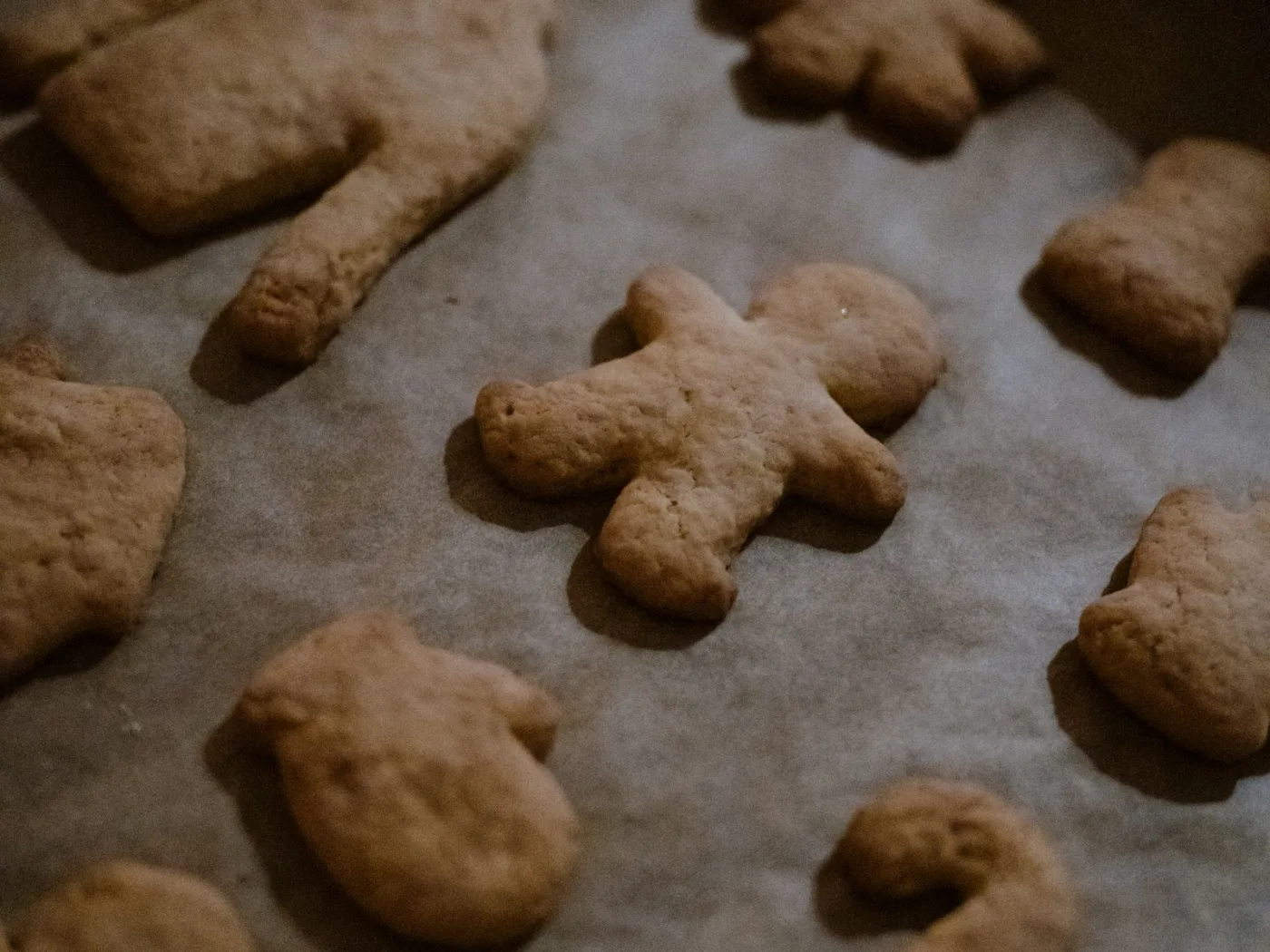 Chocolate Chip Cookie
